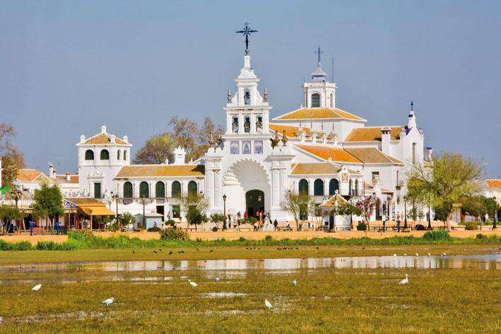 camino del rocio con bodega diaz-salazar