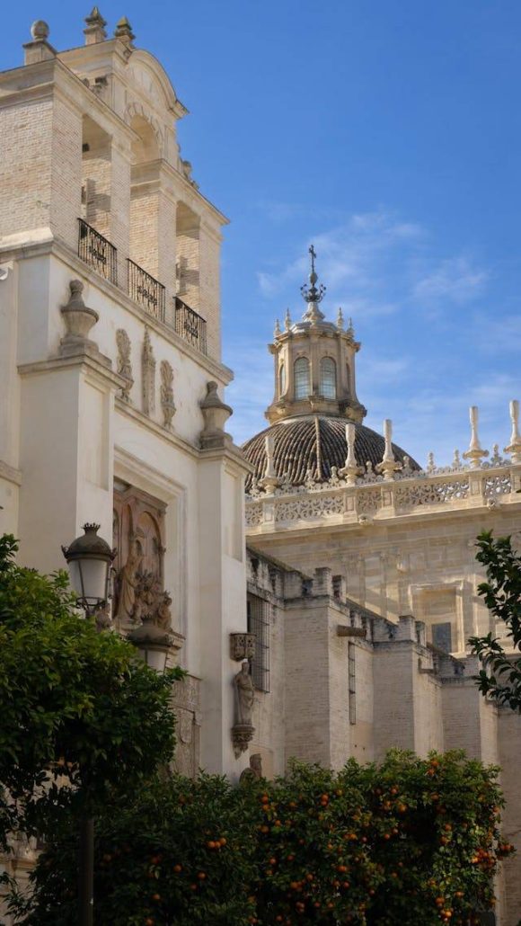 primavera en sevilla con bodega diaz-salazar