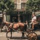 sitios para comer en sevilla centro