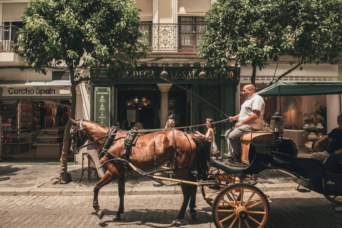 sitios para comer en sevilla centro